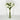 Le Fleur Rose Bundle White 12" - Uncategorized Silk