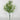 Fortune Leaves Bush Cream - Silk