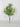 Fortune Leaves Bush Cream - Silk