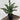 Le Fleur Araucaria Pine Tree in Pot Green 16" - Artificial Trees Silk
