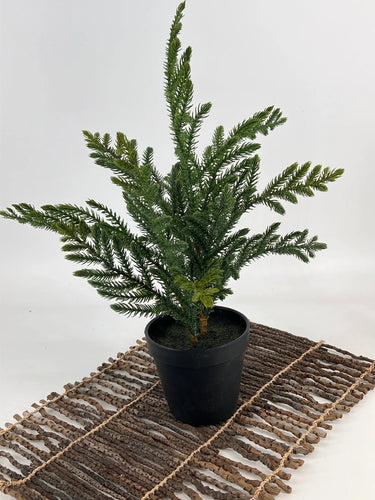 Le Fleur Araucaria Pine Tree in Pot Green 16" - Artificial Trees Silk