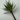 Supreme Succulent Pick Green 10'' - Artificial Flora Silk