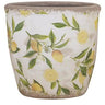 A&B Lemon Planter (2 Sizes) 5-6" - Planters Merchandise