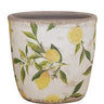A&B Lemon Planter (2 Sizes) 5-6" - Planters Merchandise