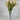 Fortune Freesia Bush Pink - Bushes Silk