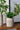 A&B Brown Sand-Cement Ribbed Vase 5.5" x 12" - Uncategorized Merchandise