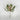 Select Narrow Leaf Echeveria Dusty Pink 8" - Potted Houseplants Silk