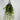 GSC Wisteria Hanging Bush Cream - Artificial Flora Silk
