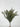 Supreme Bipinnate Bush x7 Frost Green 17" - Artificial Flora Silk