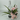 FlowerBox Bottle Bouquet Clip - Uncategorized Merchandise