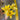 Allstate Day Lily Spray Yellow 30" - Silk