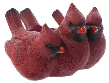 Special T Resin Triple Cardinal Container 9.75"W x 6.75"H - Merchandise