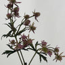Supreme Thistle Spray 25" Mauve - Silk