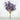 Le Fleur Forsythia Bundle Purple 21" - Artificial Flowering Plants Silk