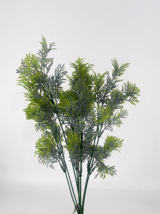 Leaves Bush Green