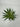Supreme Succulent Pick Green 10'' - Artificial Flora Silk
