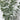 Le Fleur Snow Eucalyptus Bush x7 Green 21" - Artificial Shrubs Silk