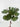 Supreme Eucalyptus Bundle 13" Green - Artificial Non-Flowering Plants Silk