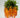 Wisteria Pumpkin Hanging Basket