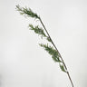 Select Wild Grass Vine Grey-Green 42" - Uncategorized Silk