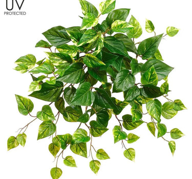 Allstate UV Protected Pothos Bush 20" - Artificial Non-Flowering Plants Silk