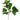 Greenhouse International Golden Laurel Spray 23"L - Silk