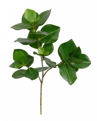 Greenhouse International Golden Laurel Spray 23"L - Silk