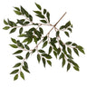 Greenhouse International New Smilax Spray 23"L - Silk