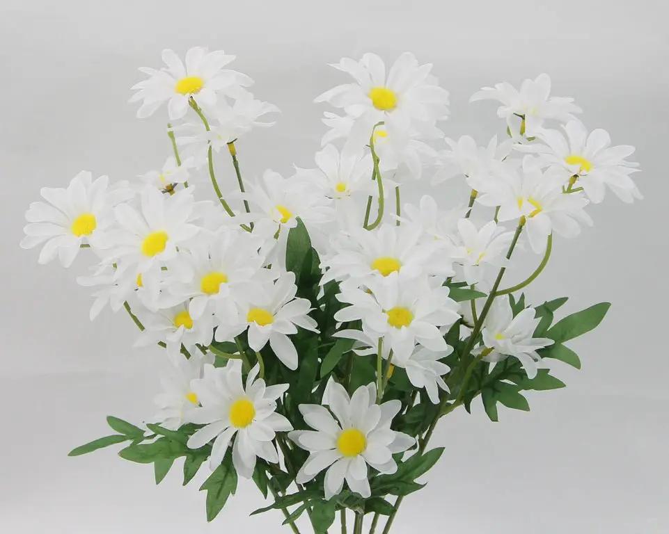 Spring Plants