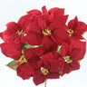 GSC Velvet Poinsettia Burgundy Bush x7 - Artificial Flowering Plants Silk