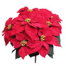 GSC Velvet Poinsettia Red Bush x7 - Artificial Flowering Plants Silk