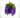 Wisteria Purple Hanging Basket