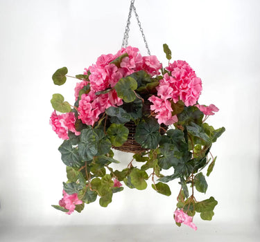 Geranium Pink Hanging Basket