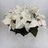 Evergreen Home and Floral White Poinsettias in Mache - Artificial Plants