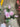 AmBest Real Touch Rose Bundle Light Pink 18" - Artificial Flowering Plants Silk