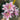 Supreme Tiger Lily Bush (x7) Pink-White - Artificial Flora Silk