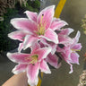 Supreme Tiger Lily Bush (x7) Pink-White - Artificial Flora Silk