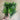 Select UV Boxwood Bush 10" - Artificial Non-Flowering Plants Silk