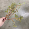 Direct Export Seeded Branch Green - Artificial Non-Flowering Plants Silk