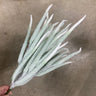 Le Fleur Foxtail Bush Green-White 21" - Artificial Flora Silk