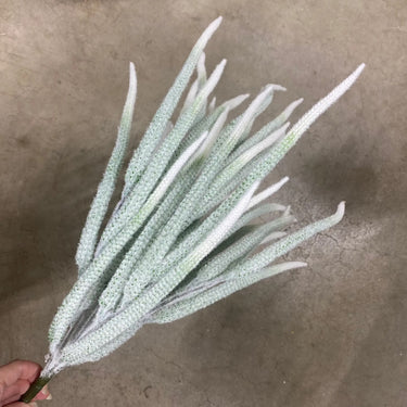 Le Fleur Foxtail Bush Green-White 21" - Artificial Flora Silk