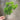 Le Fleur Pom Pom Bush Green 16" - Artificial Flora Silk