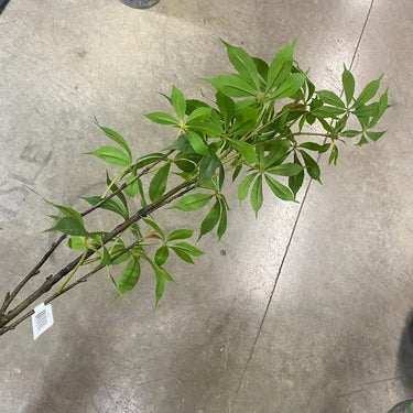 Le Fleur Foliage Spray Green 45" - Artificial Flora Silk