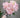 AmBest Peony Bundle Peach 10" - Artificial Flowering Plants Silk