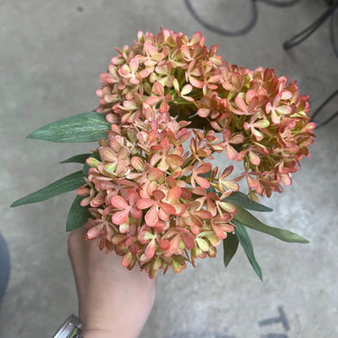 Le Fleur Snowball Hydrangea Bundle (x3) Peach 11" - Uncategorized Silk