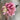 Supreme Hydrangea Stem Pink 33" - Uncategorized Silk