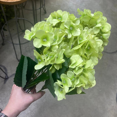 Fortune Hydrangea Green - Silk