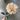 Allstate Dahlia Spray Cr/Dk 23" - Silk