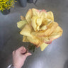 Direct Export Dried Open Rose Stem Yellow - Dried Flowers Silk
