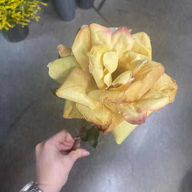 Direct Export Dried Open Rose Stem Yellow - Dried Flowers Silk